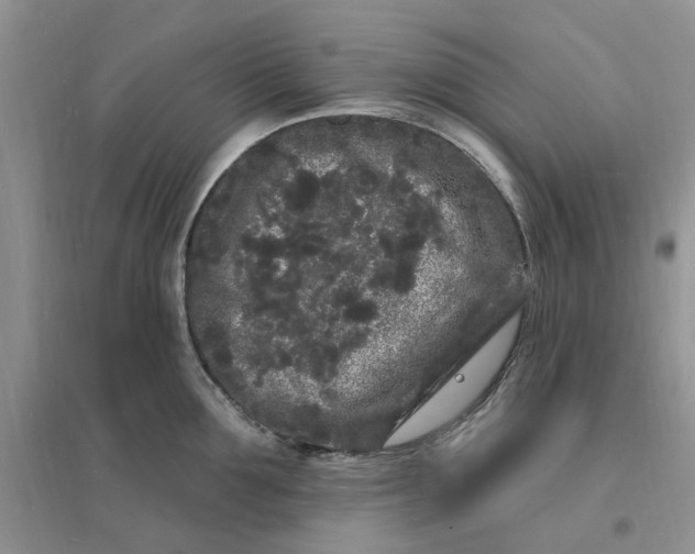 X0000096390907200802071534