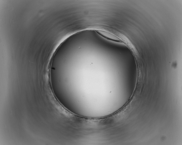 X0000096390908200802071534