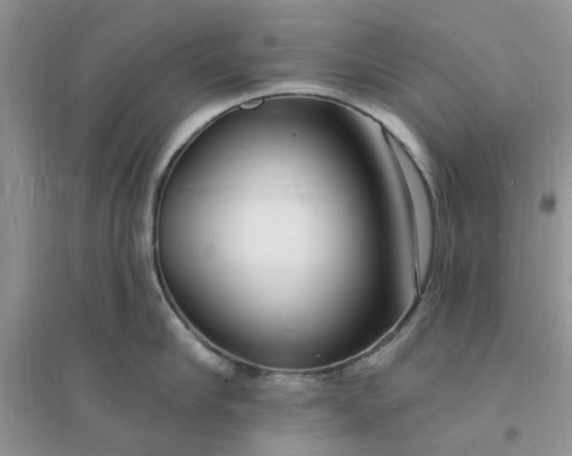 X0000096390910200802071534