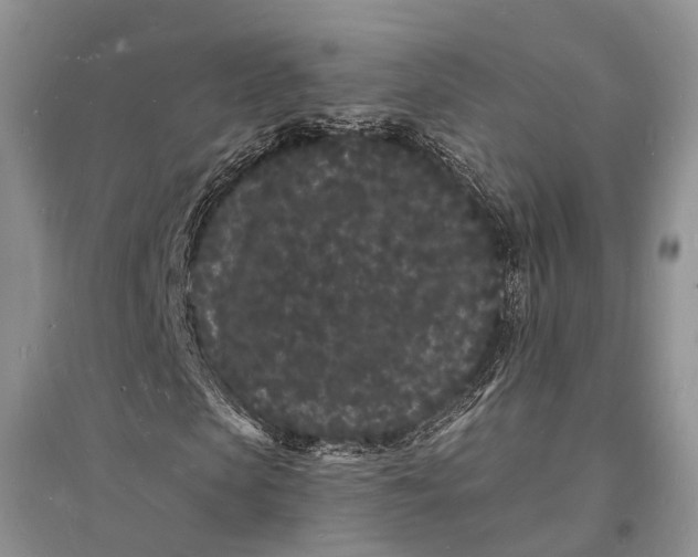 X0000096390913200802071533