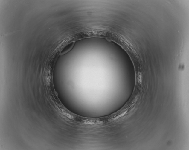 X0000096390915200802071533