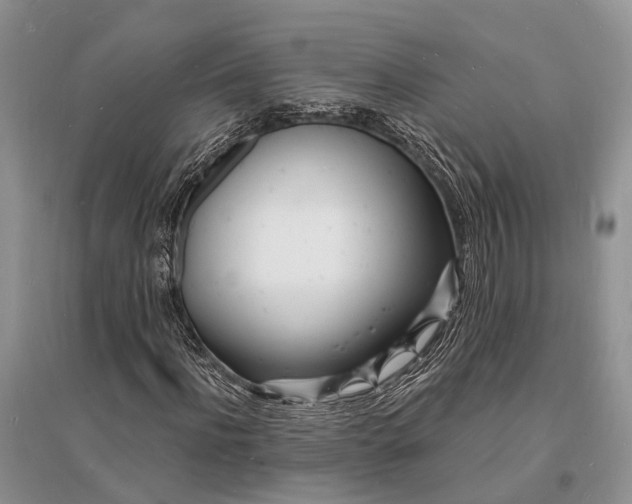 X0000096390916200802071533