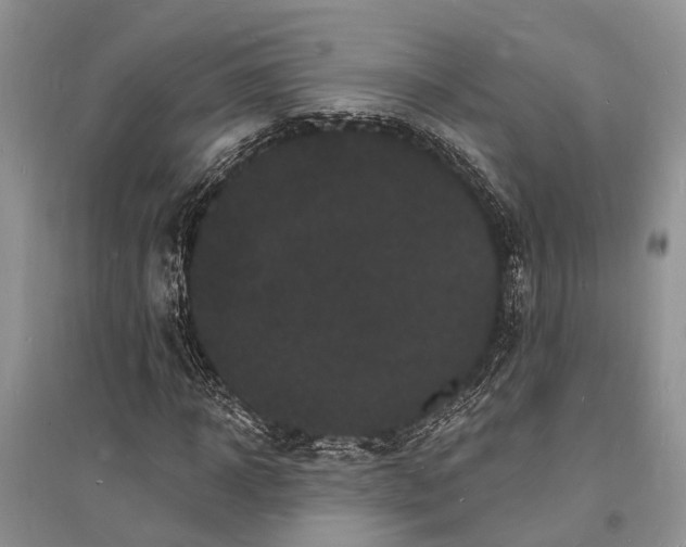 X0000096390918200802071533