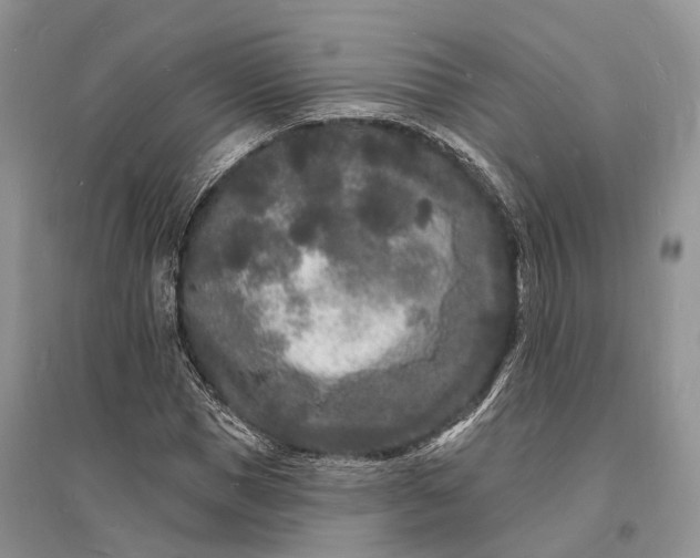 X0000096390921200802071533