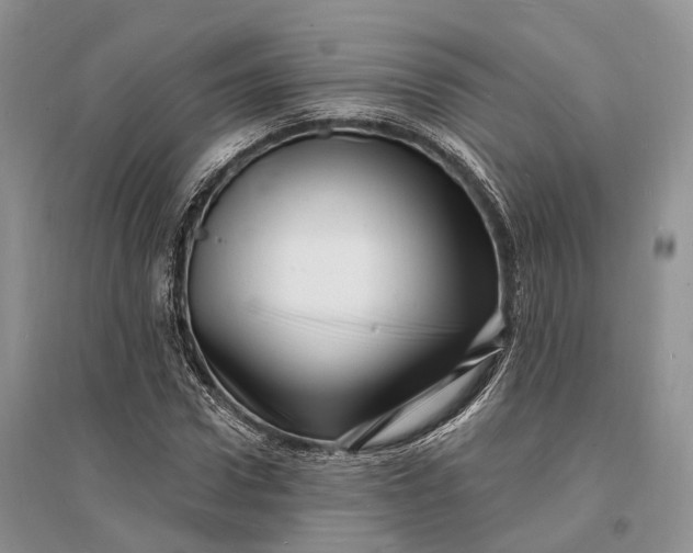 X0000096390922200802071533