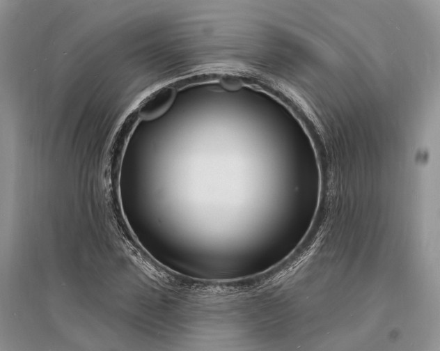 X0000096390923200802071533