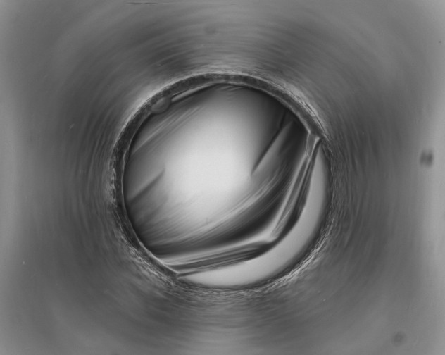 X0000096390926200802071533