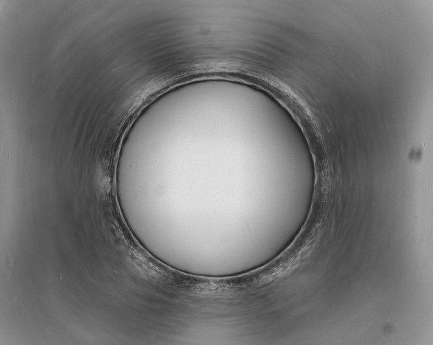 X0000096390929200802071533