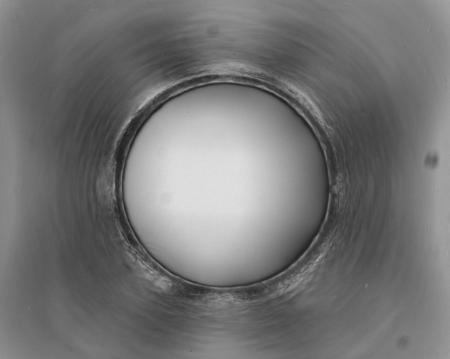 X0000096390931200802071533