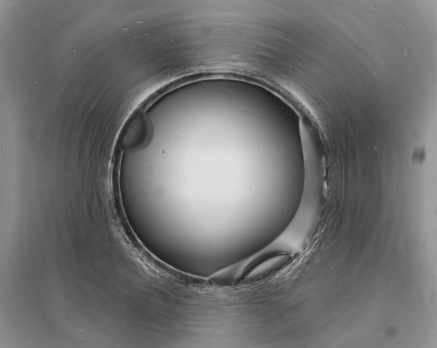 X0000096390932200802071533