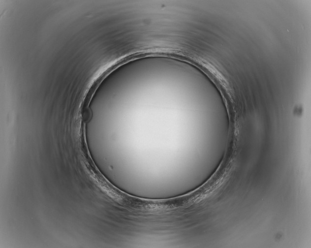 X0000096390933200802071533