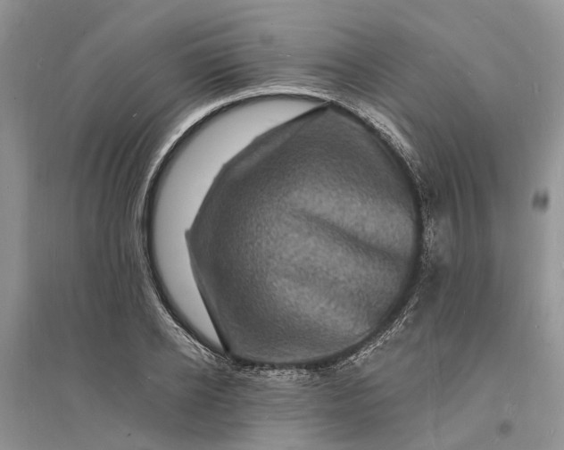X0000096390934200802071533