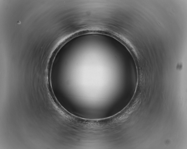 X0000096390935200802071533