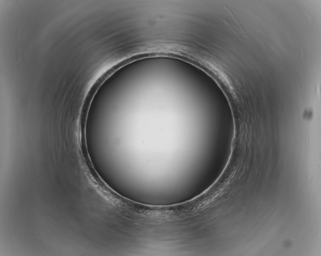 X0000096390936200802071533