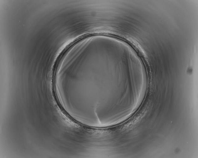 X0000096390941200802071533