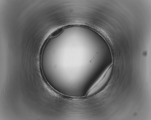 X0000096390942200802071533