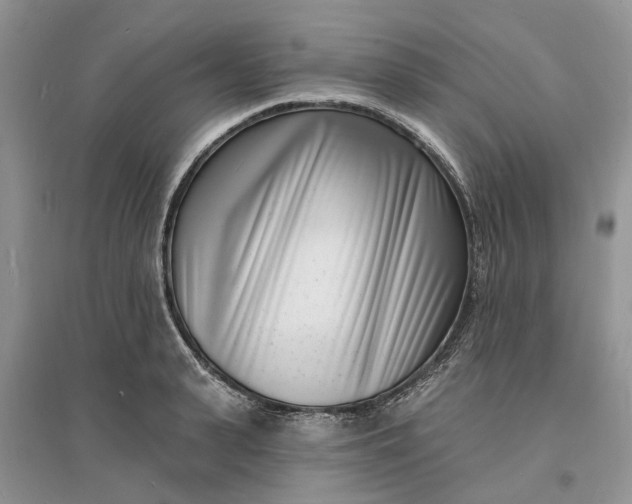 X0000096390943200802071533