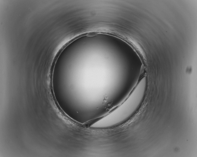 X0000096390944200802071533