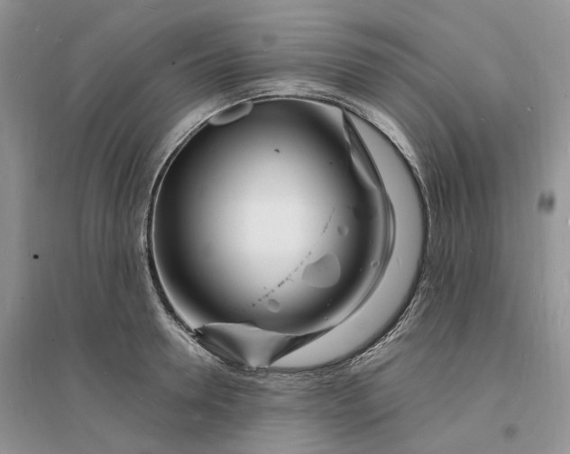 X0000096390946200802071533