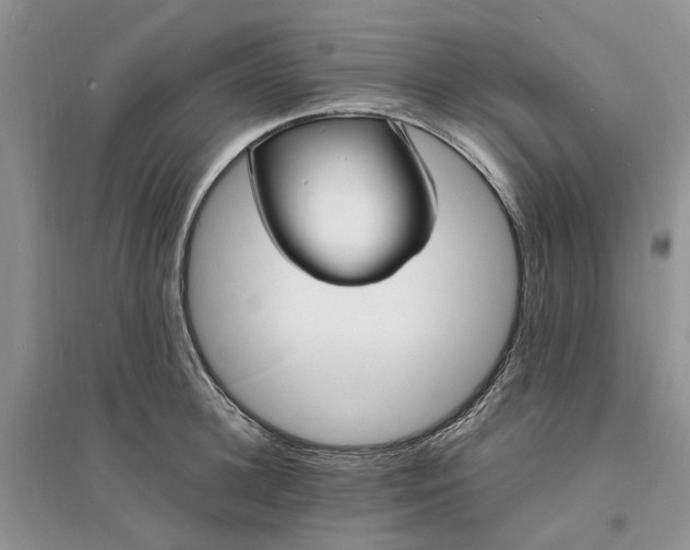 X0000096390948200802071533