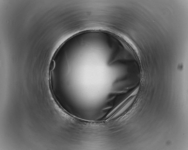X0000096390951200802071534