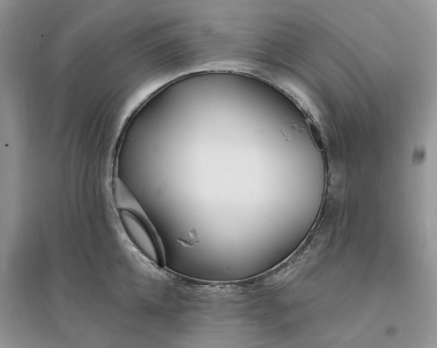 X0000096390952200802071534
