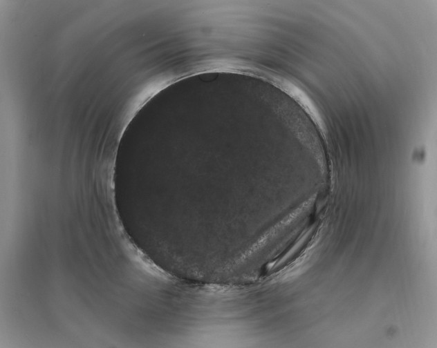X0000096390954200802071534