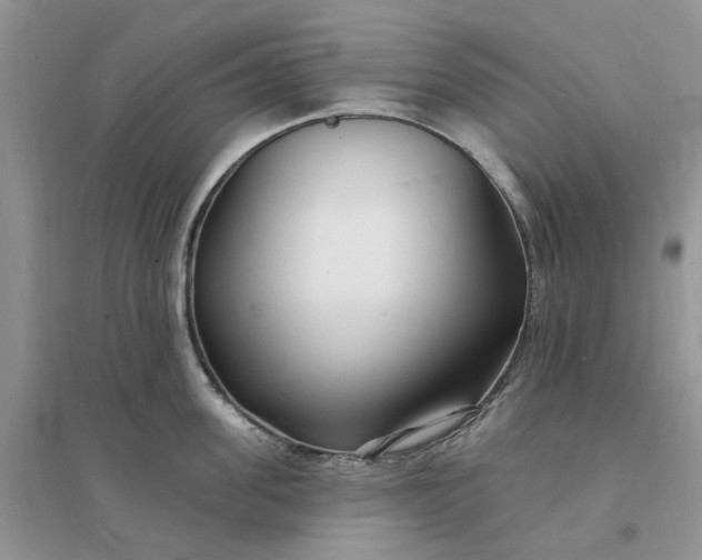 X0000096390955200802071534