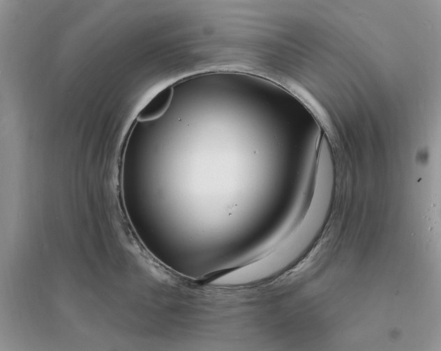 X0000096390956200802071534