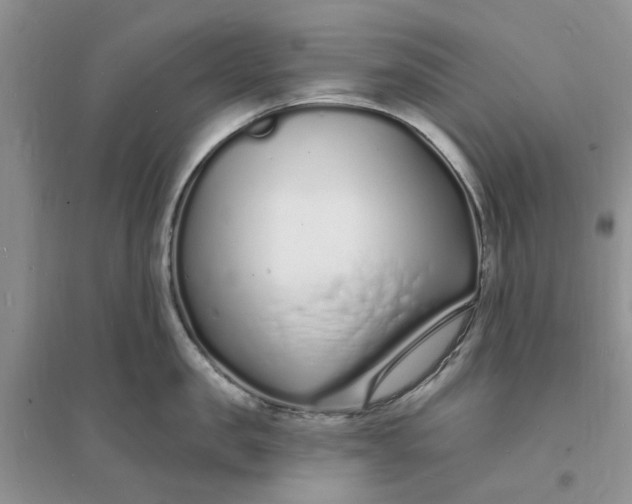 X0000096390957200802071534