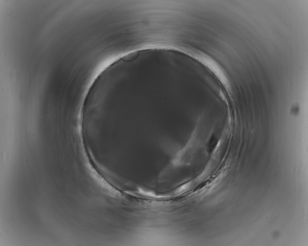 X0000096390958200802071534