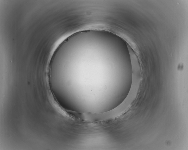 X0000096390960200802071534