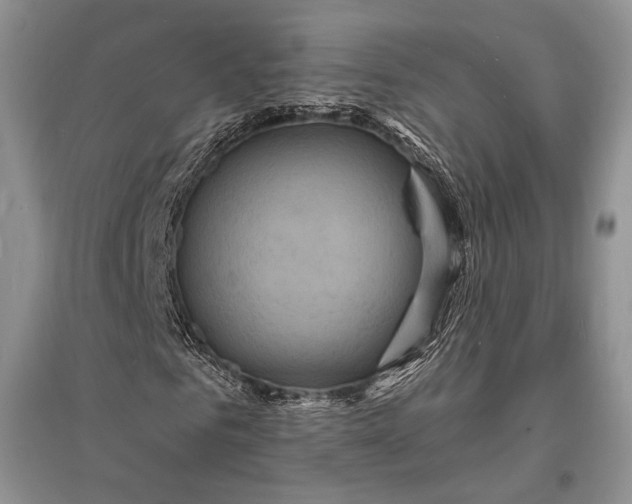 X0000096390961200802071533