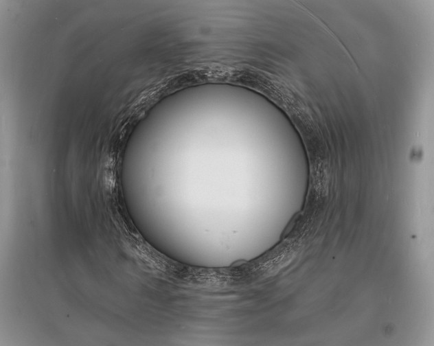 X0000096390962200802071533