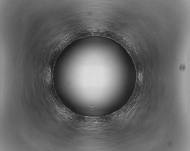 X0000096390963200802071533