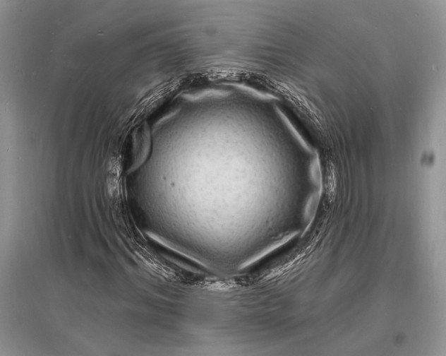 X0000096390964200802071533