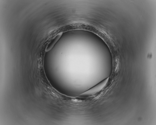 X0000096390965200802071533
