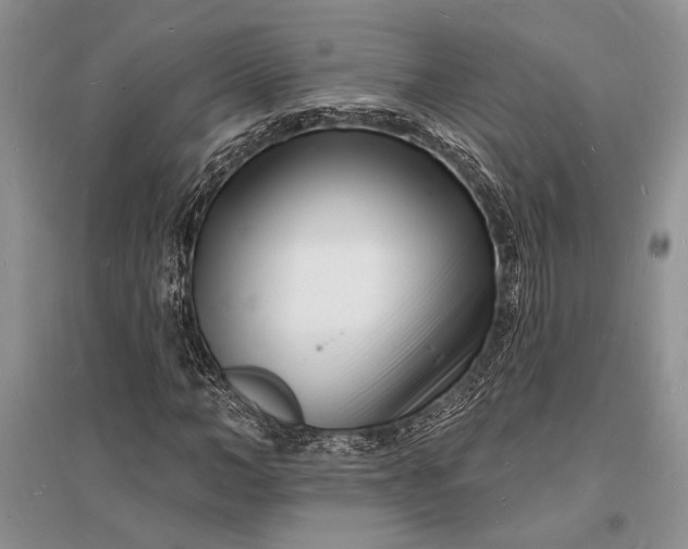 X0000096390966200802071533