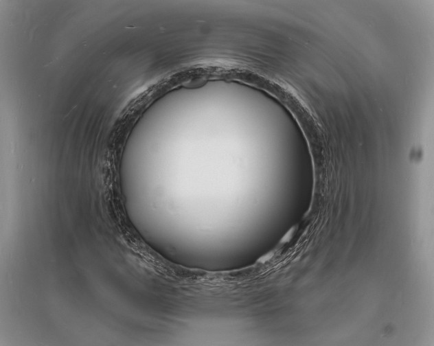 X0000096390967200802071533