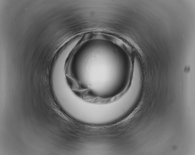 X0000096390969200802071533