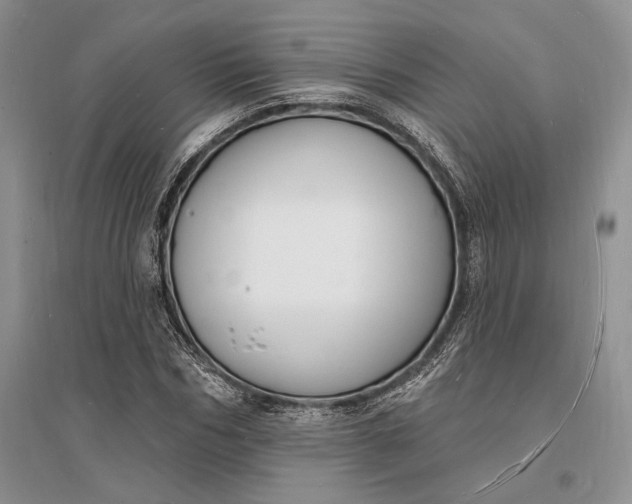 X0000096390970200802071533
