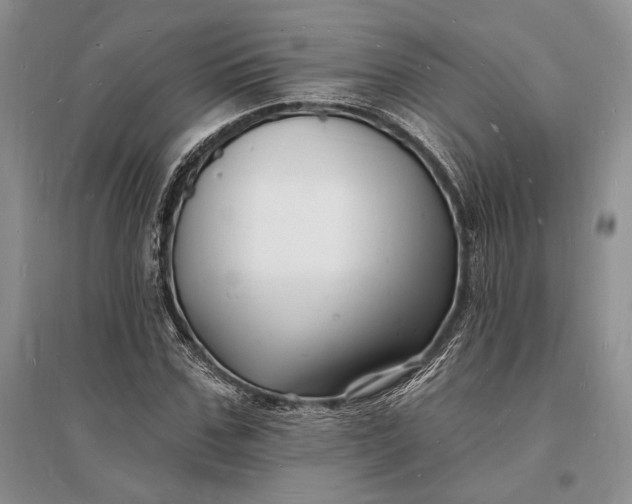 X0000096390971200802071533