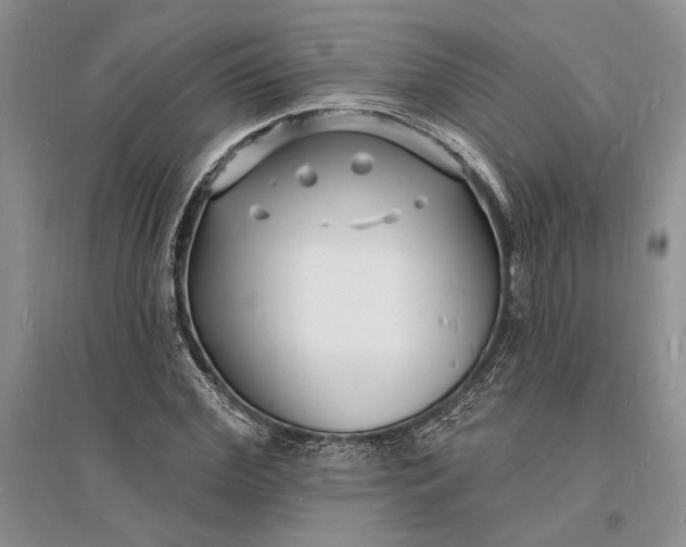 X0000096390972200802071533