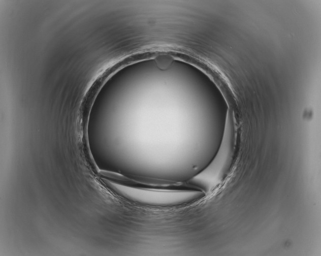 X0000096390973200802071533
