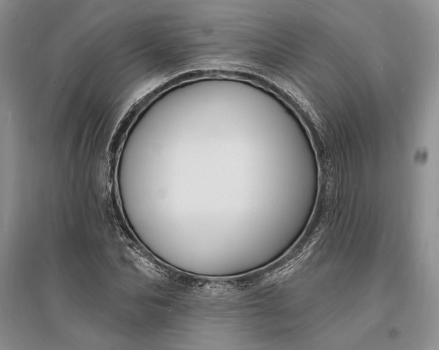 X0000096390974200802071533