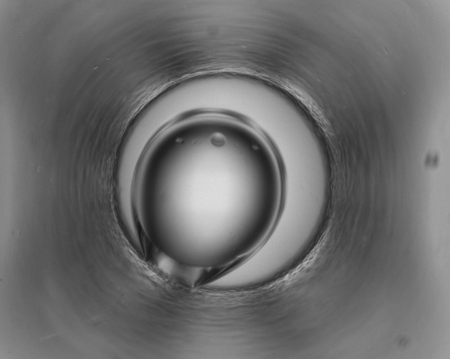 X0000096390977200802071533