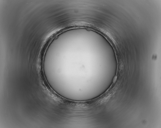X0000096390979200802071533