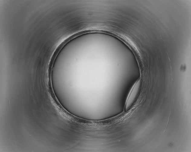 X0000096390980200802071533