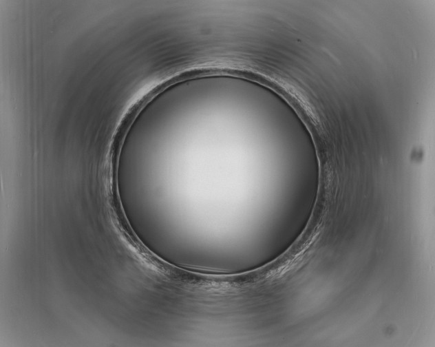 X0000096390982200802071533