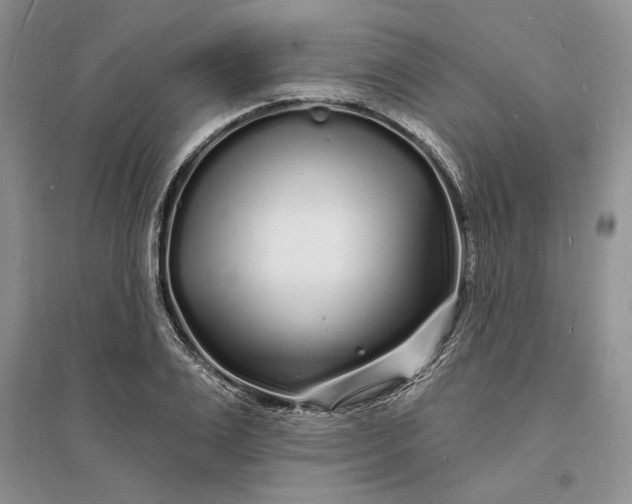 X0000096390983200802071533